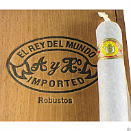 El Rey del Mundo Robusto - Imagen 2