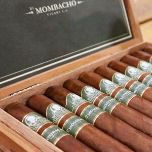 Diplomatico Rum - Robusto - Caja 20 Unidades - Imagen 2